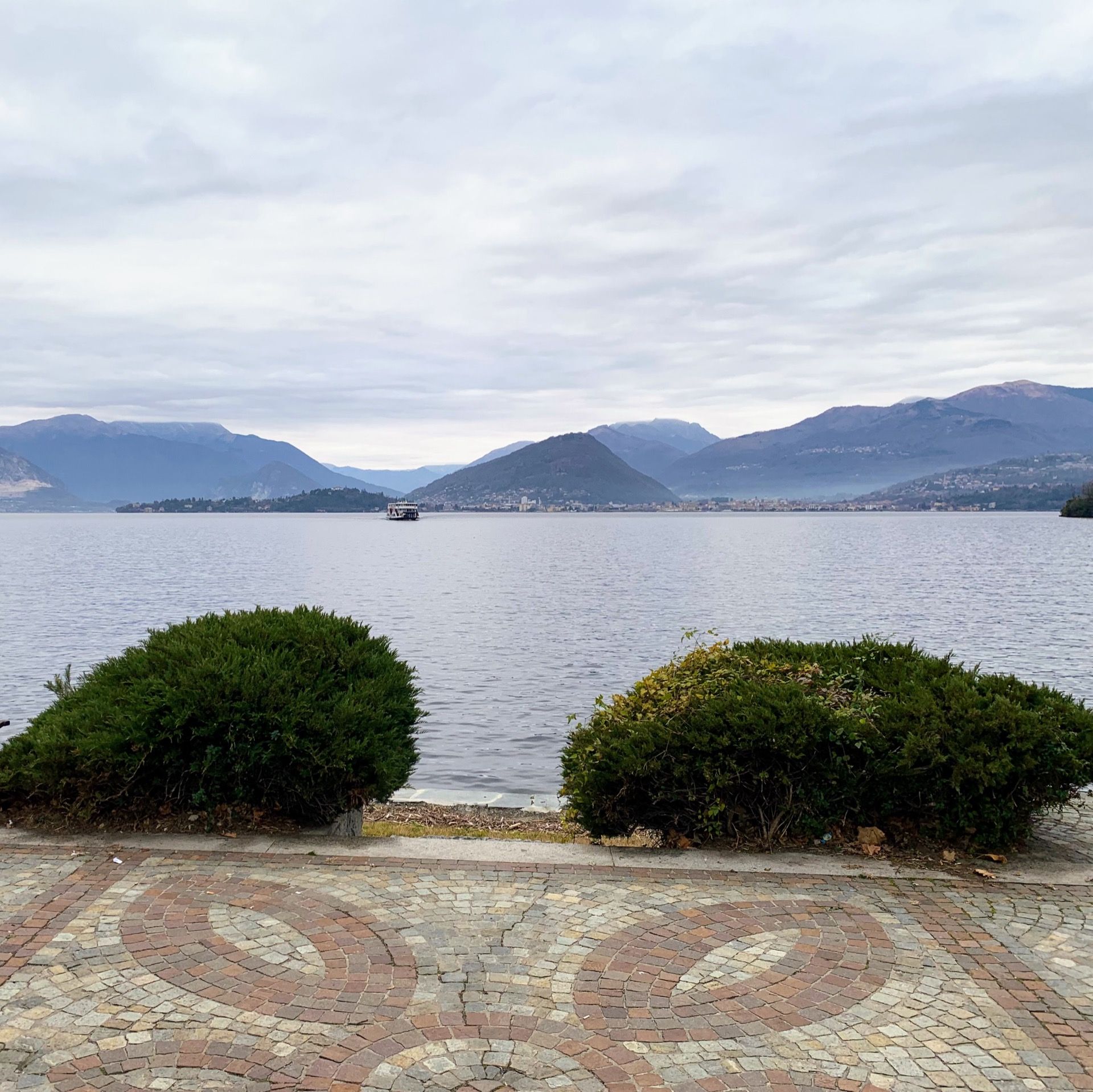 Immagine in evidenza