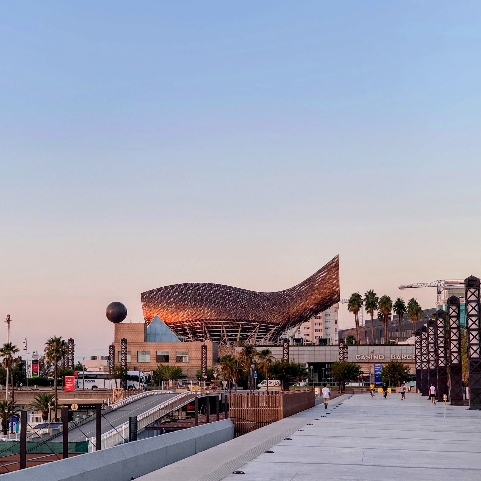 Immagine in evidenza