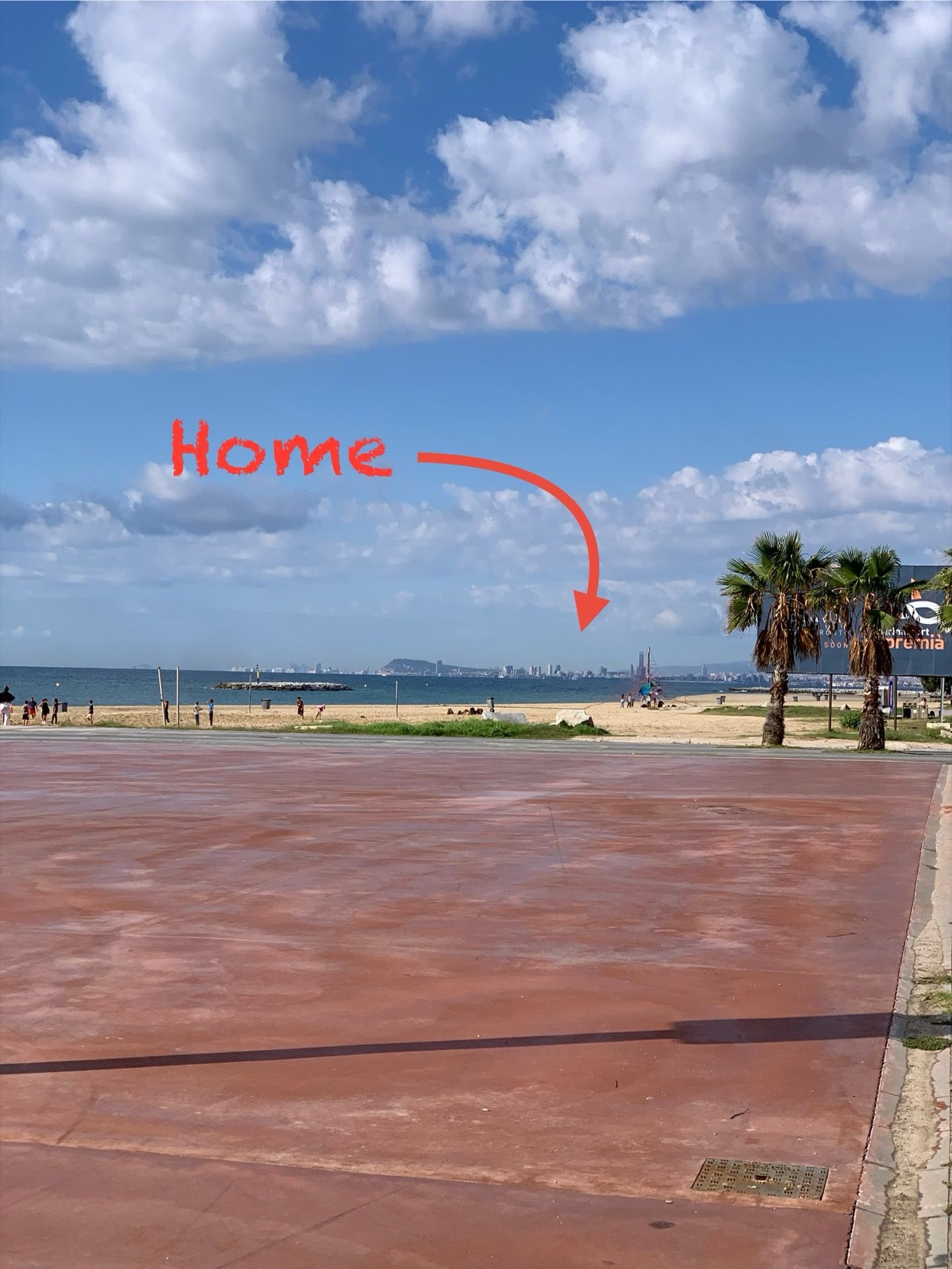 Immagine in evidenza