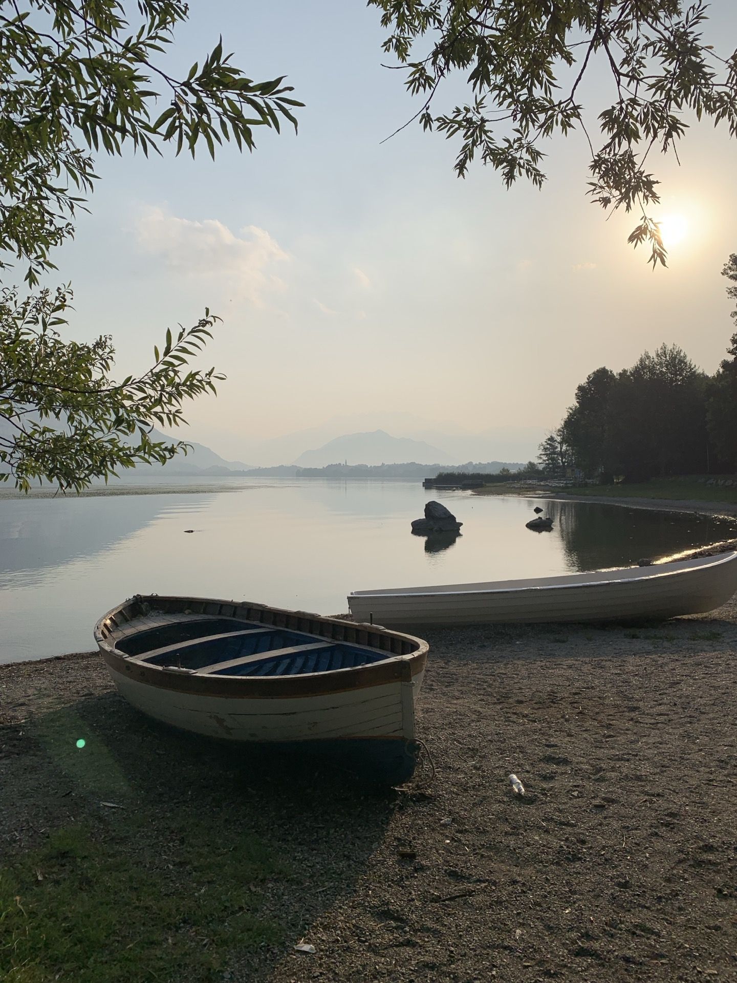 Immagine in evidenza