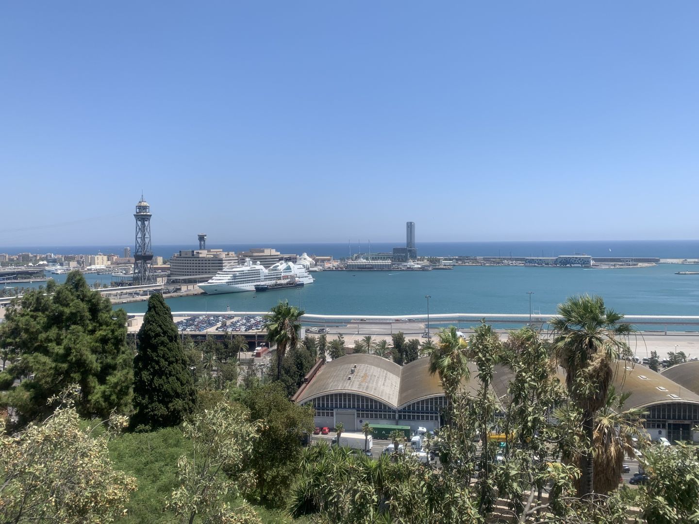 Immagine in evidenza