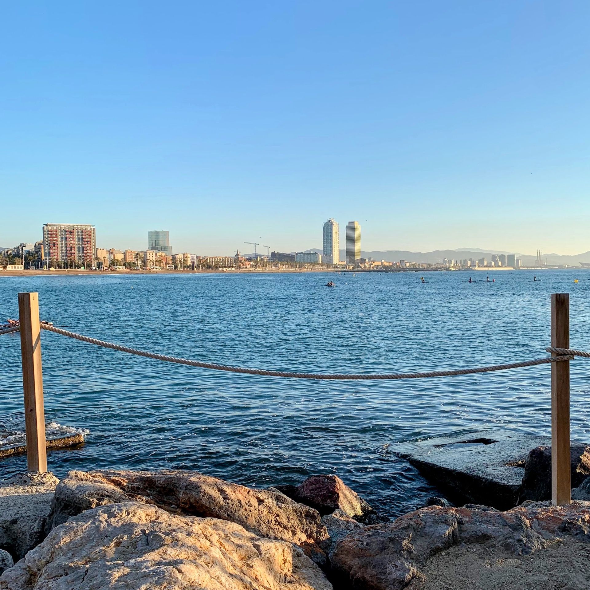 Immagine in evidenza