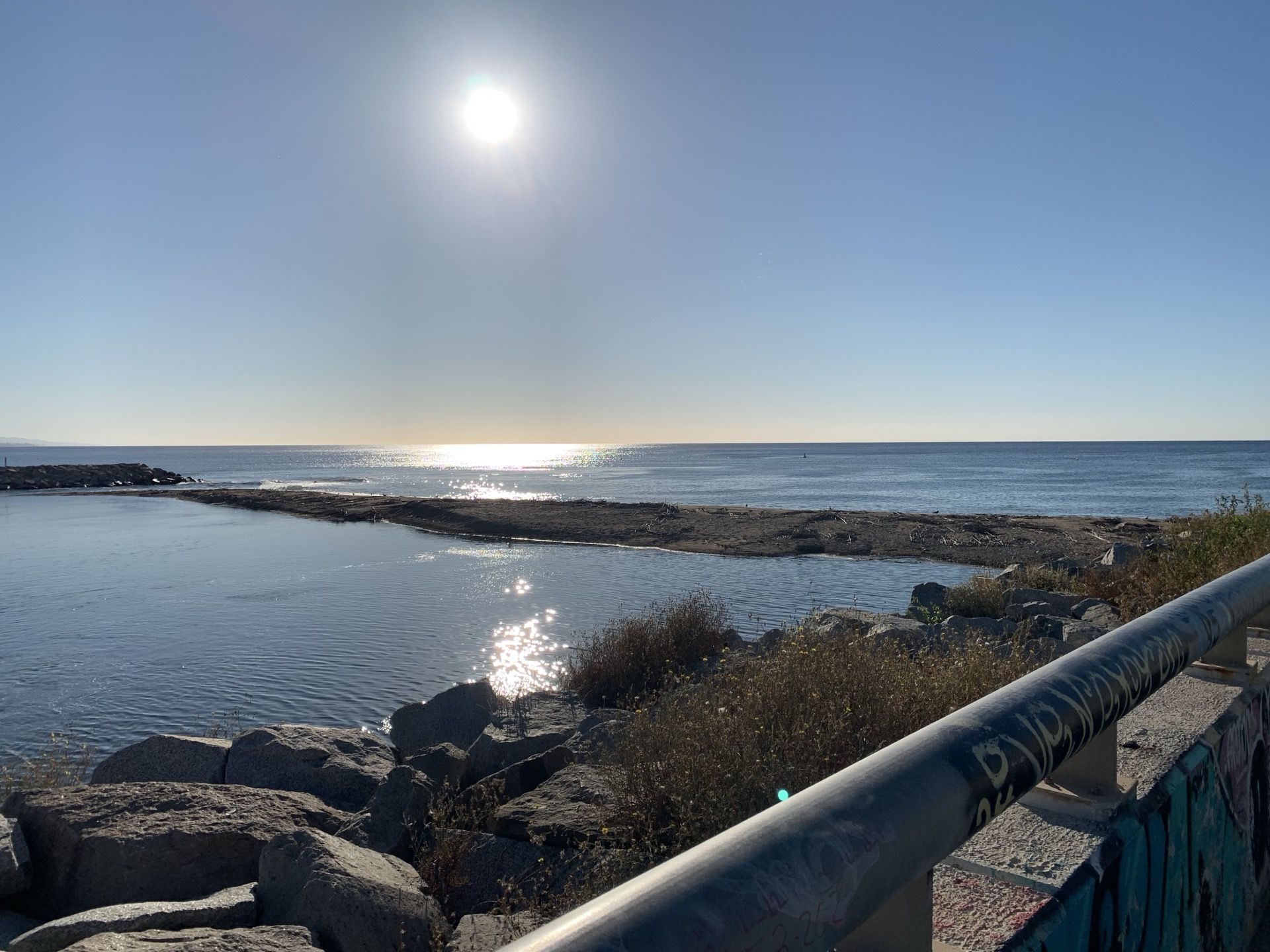 Immagine in evidenza