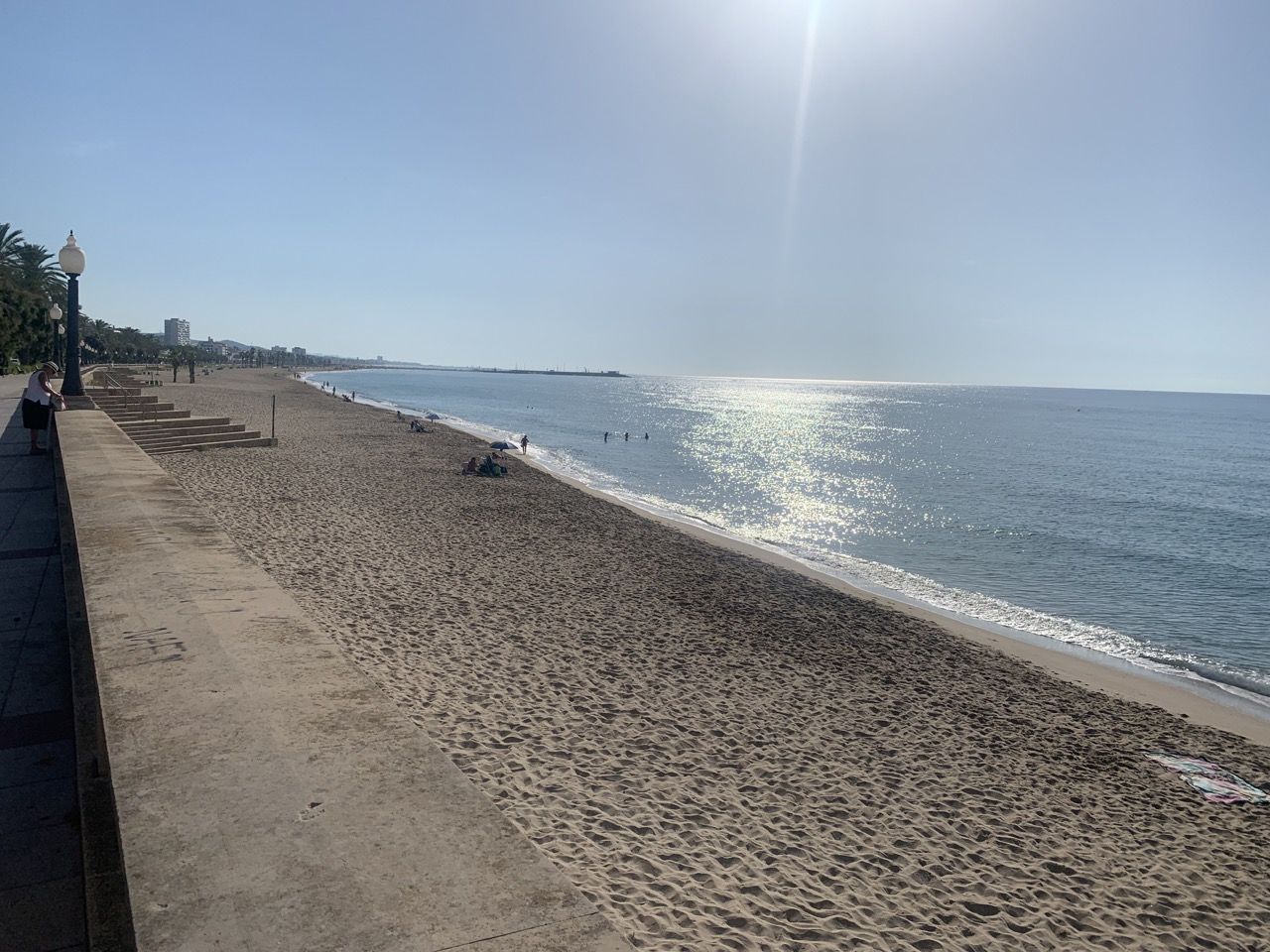 Immagine in evidenza