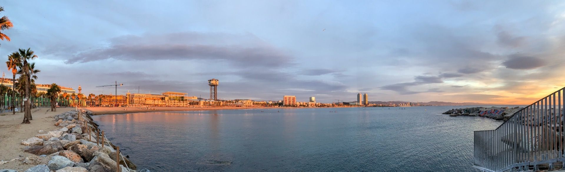 Immagine in evidenza