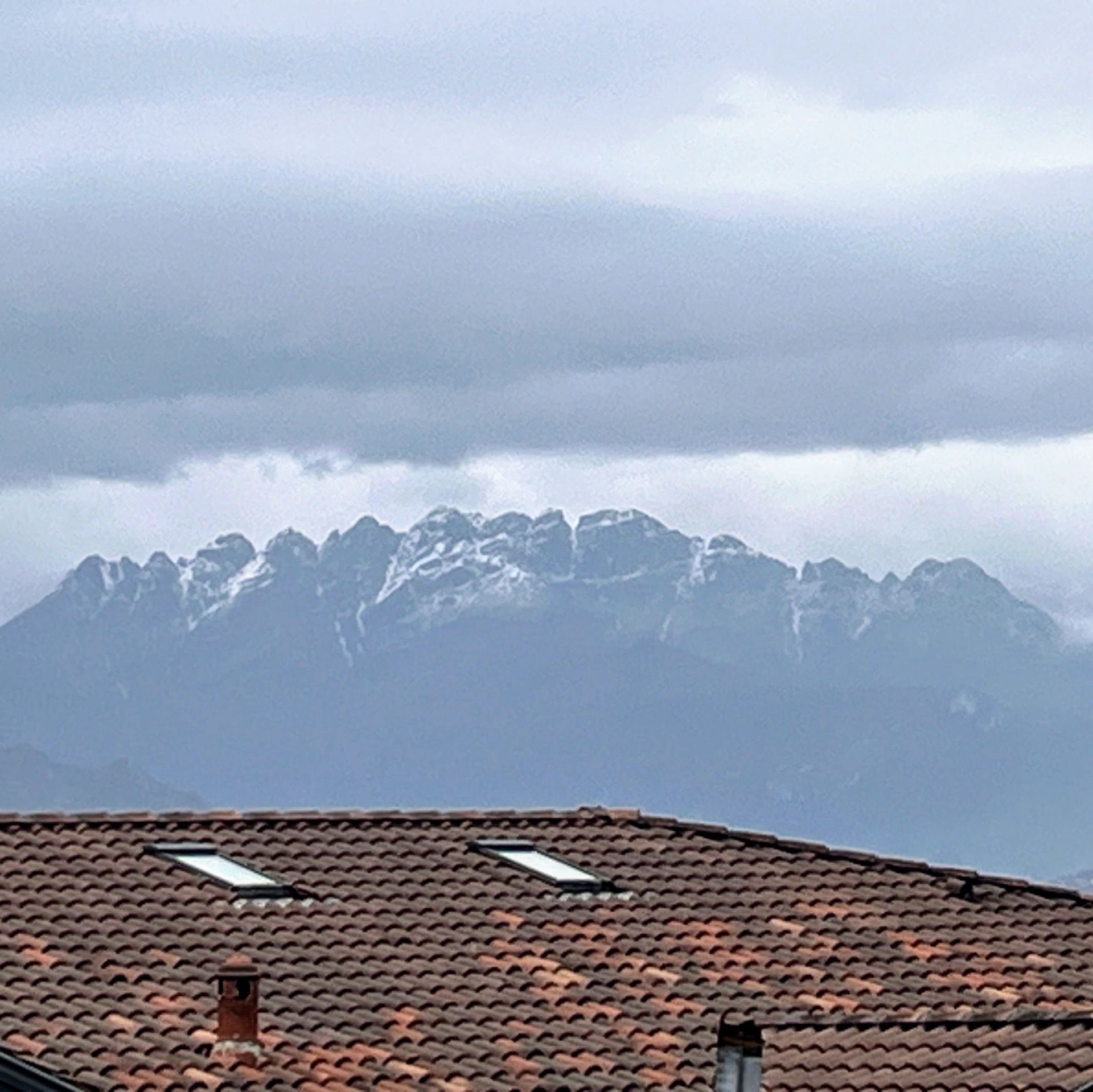 Immagine in evidenza