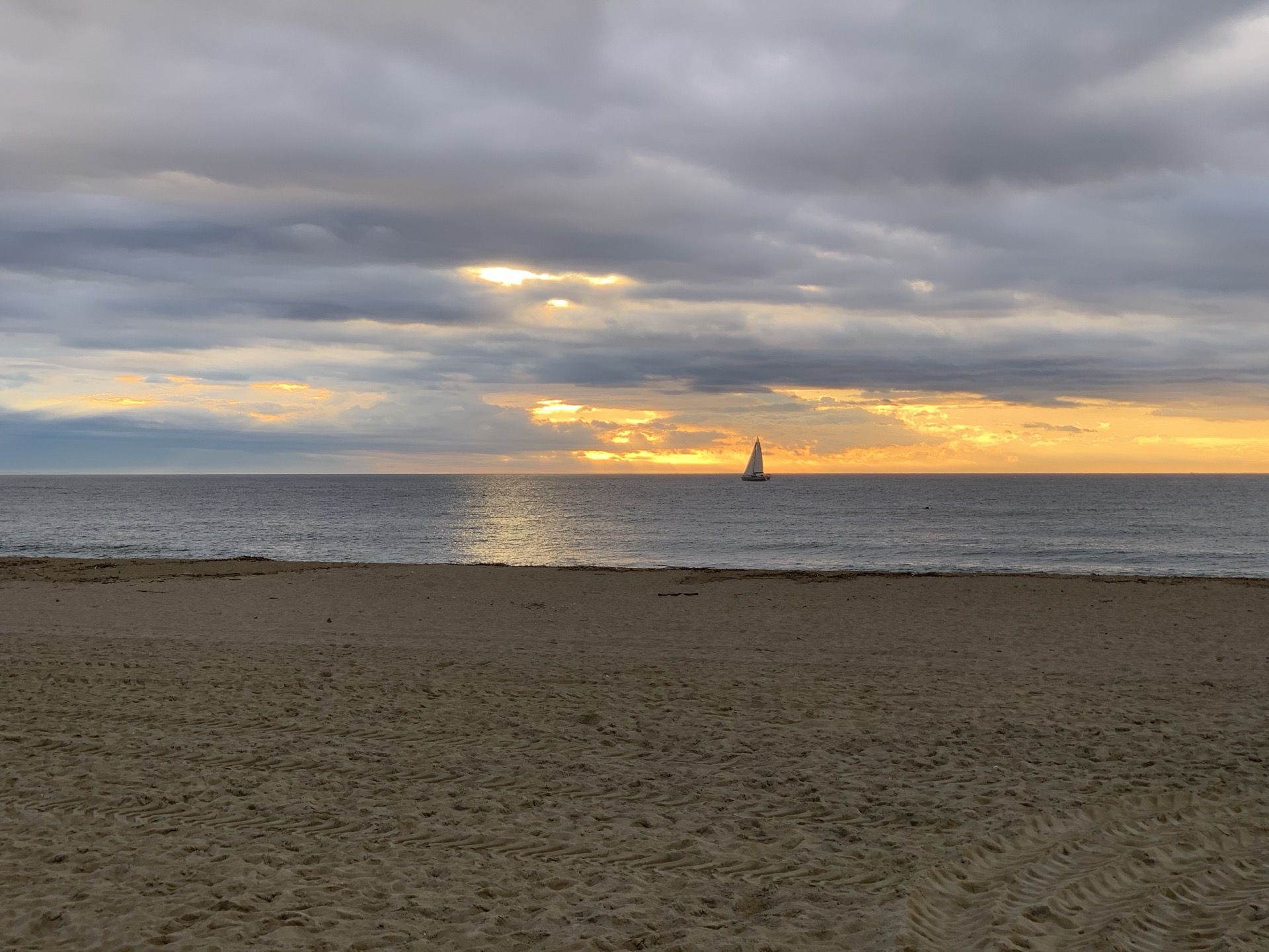 Immagine in evidenza