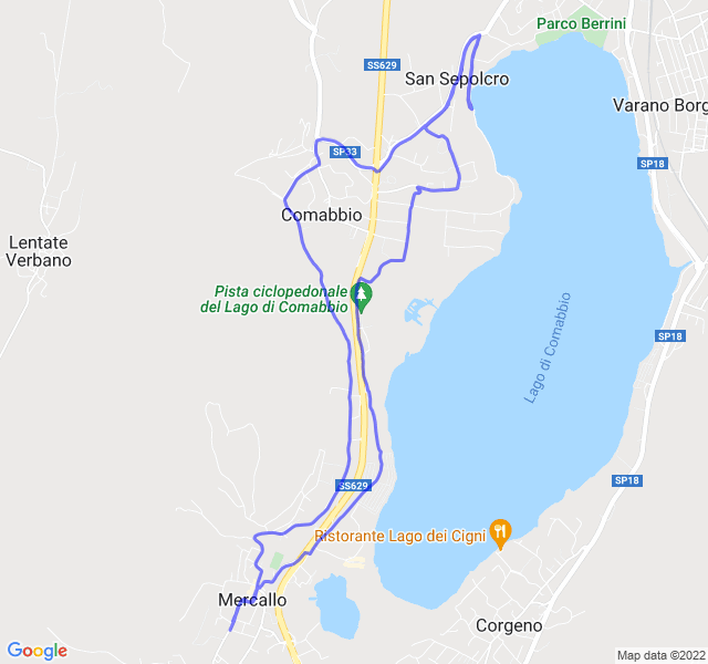 Immagine in evidenza