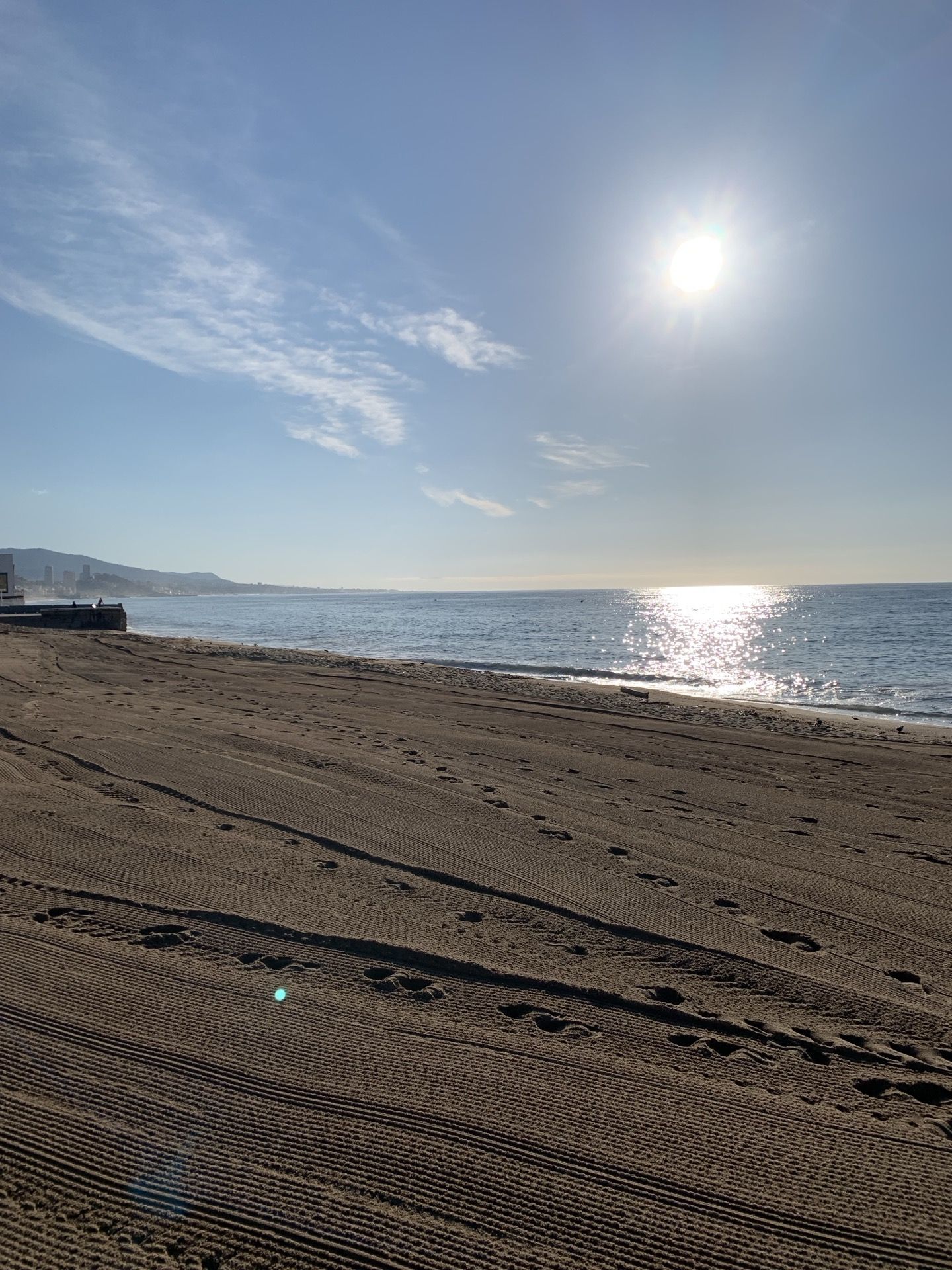 Immagine in evidenza