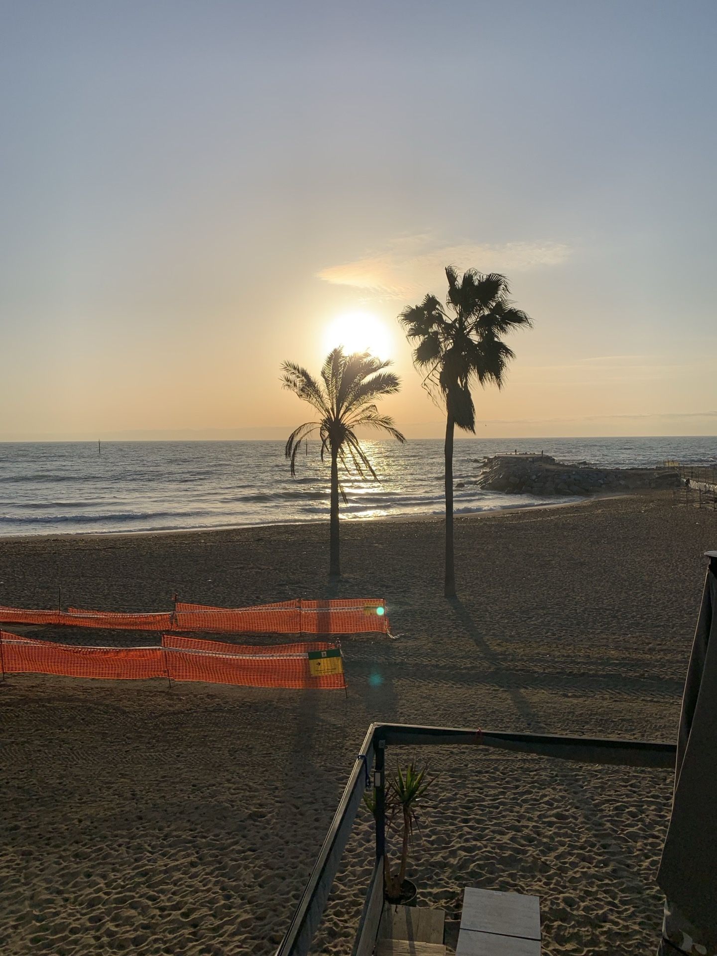 Immagine in evidenza