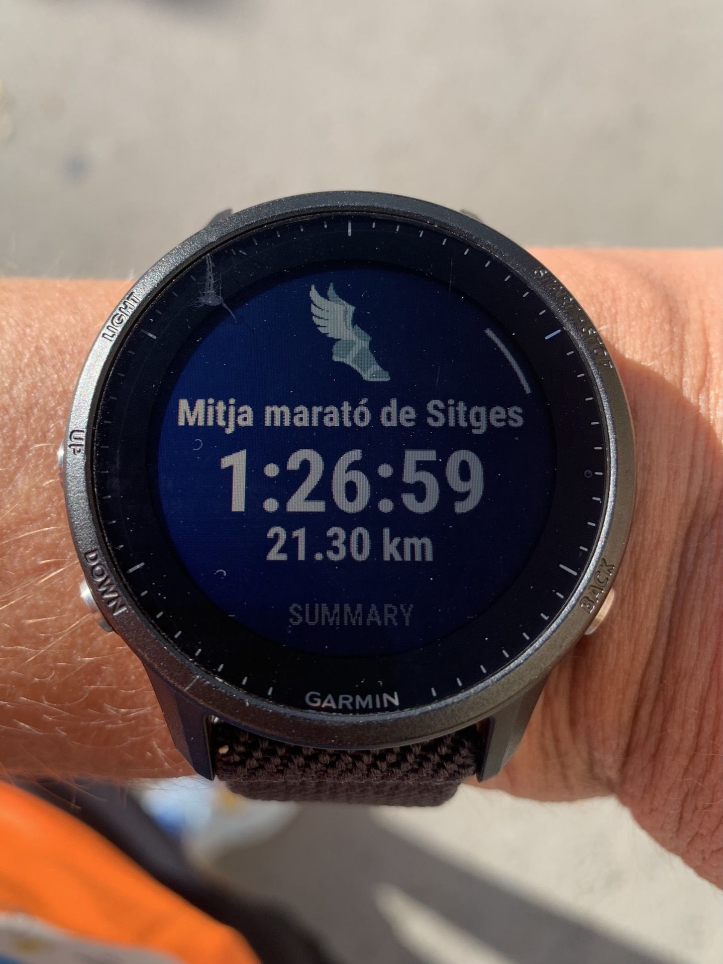 Immagine in evidenza