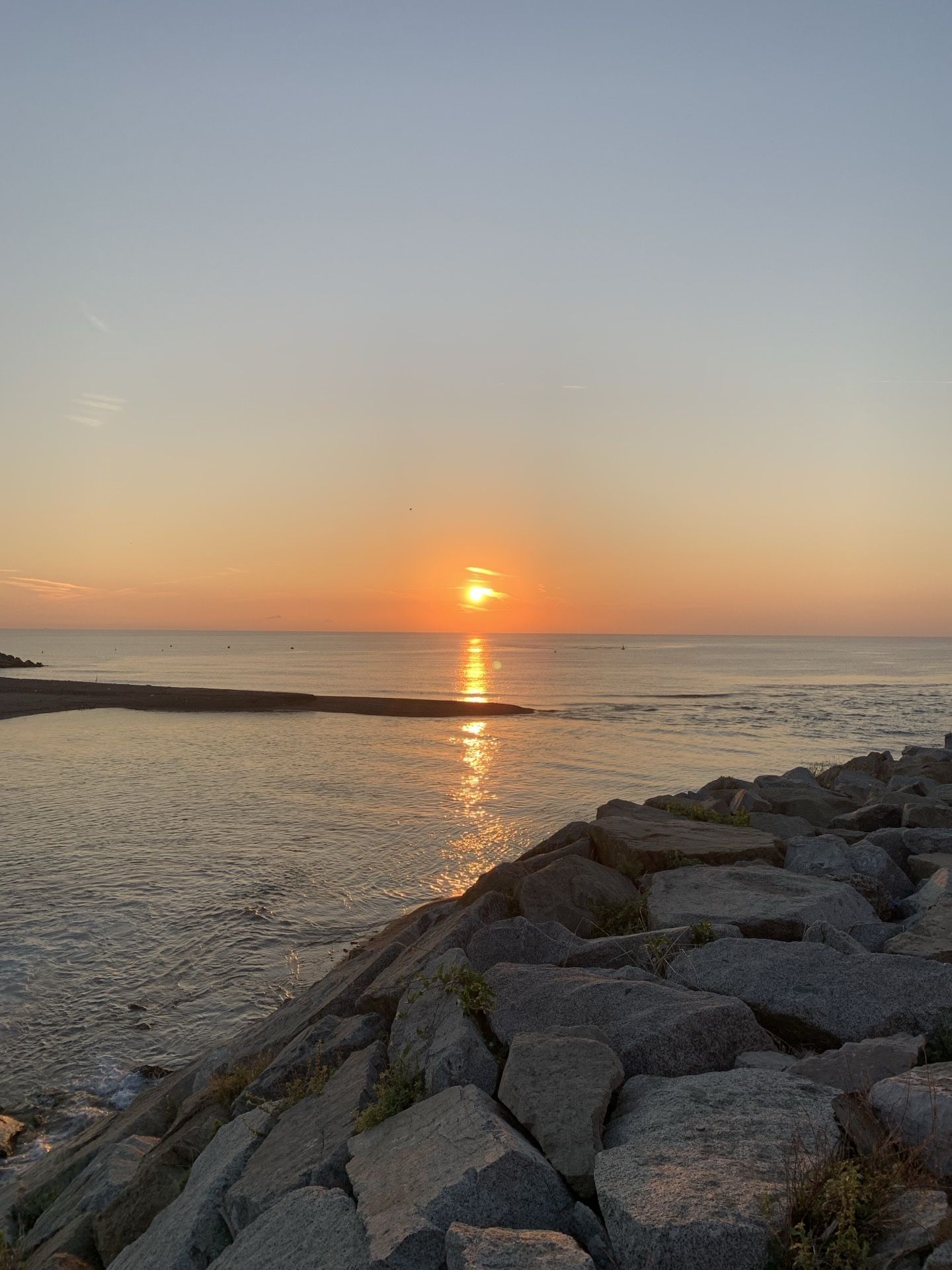 Immagine in evidenza