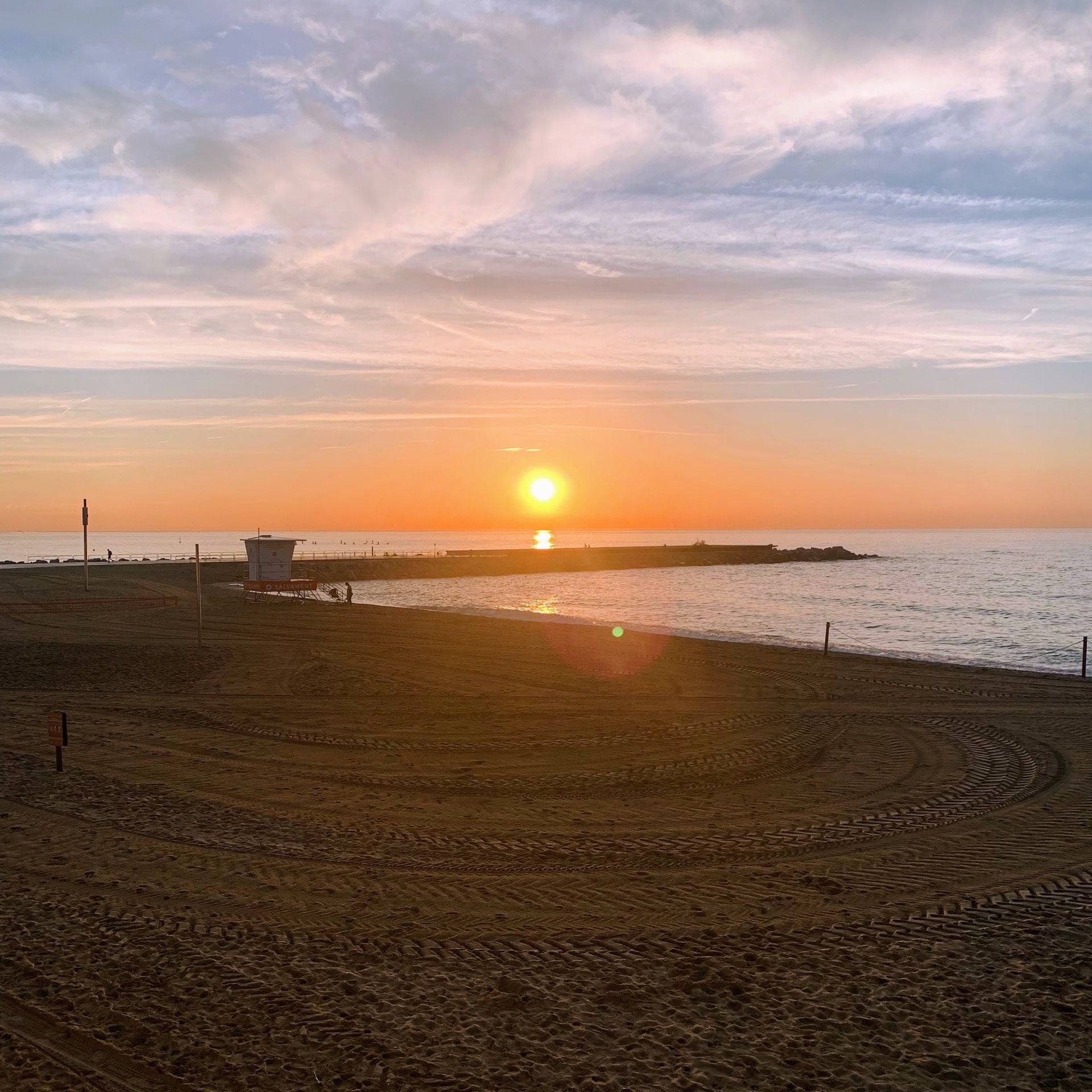 Immagine in evidenza