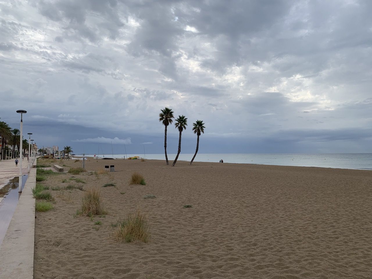 Immagine in evidenza