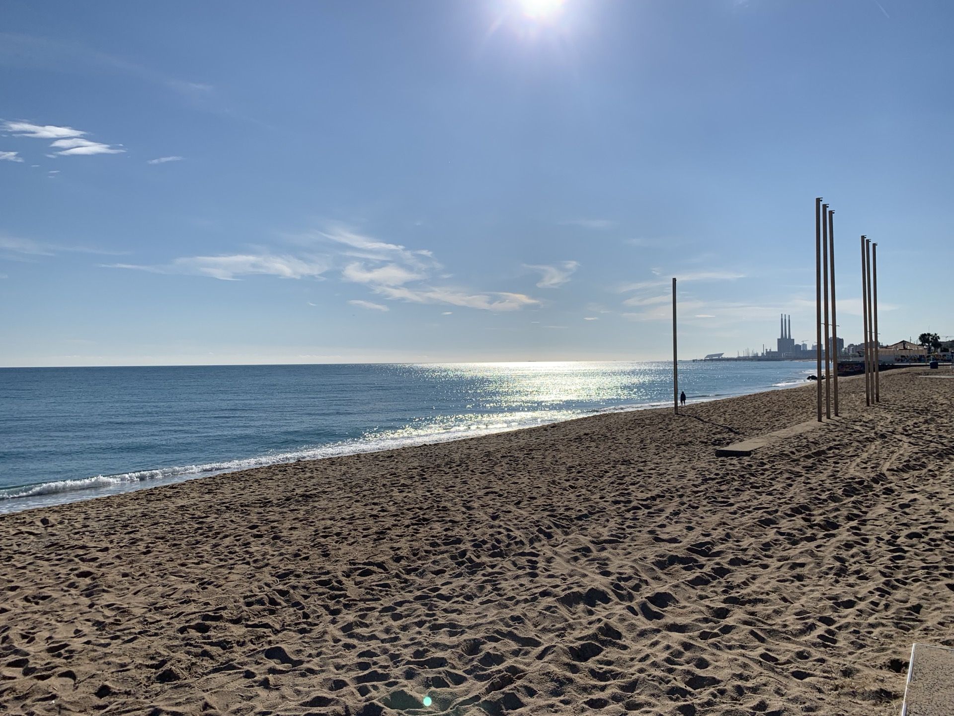 Immagine in evidenza