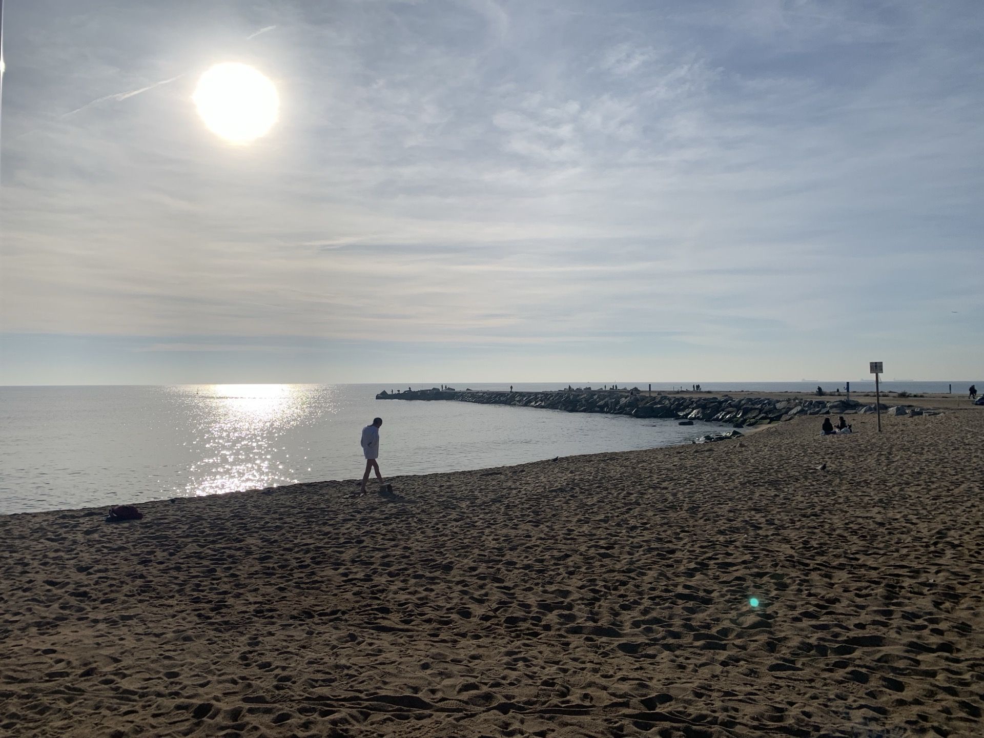 Immagine in evidenza