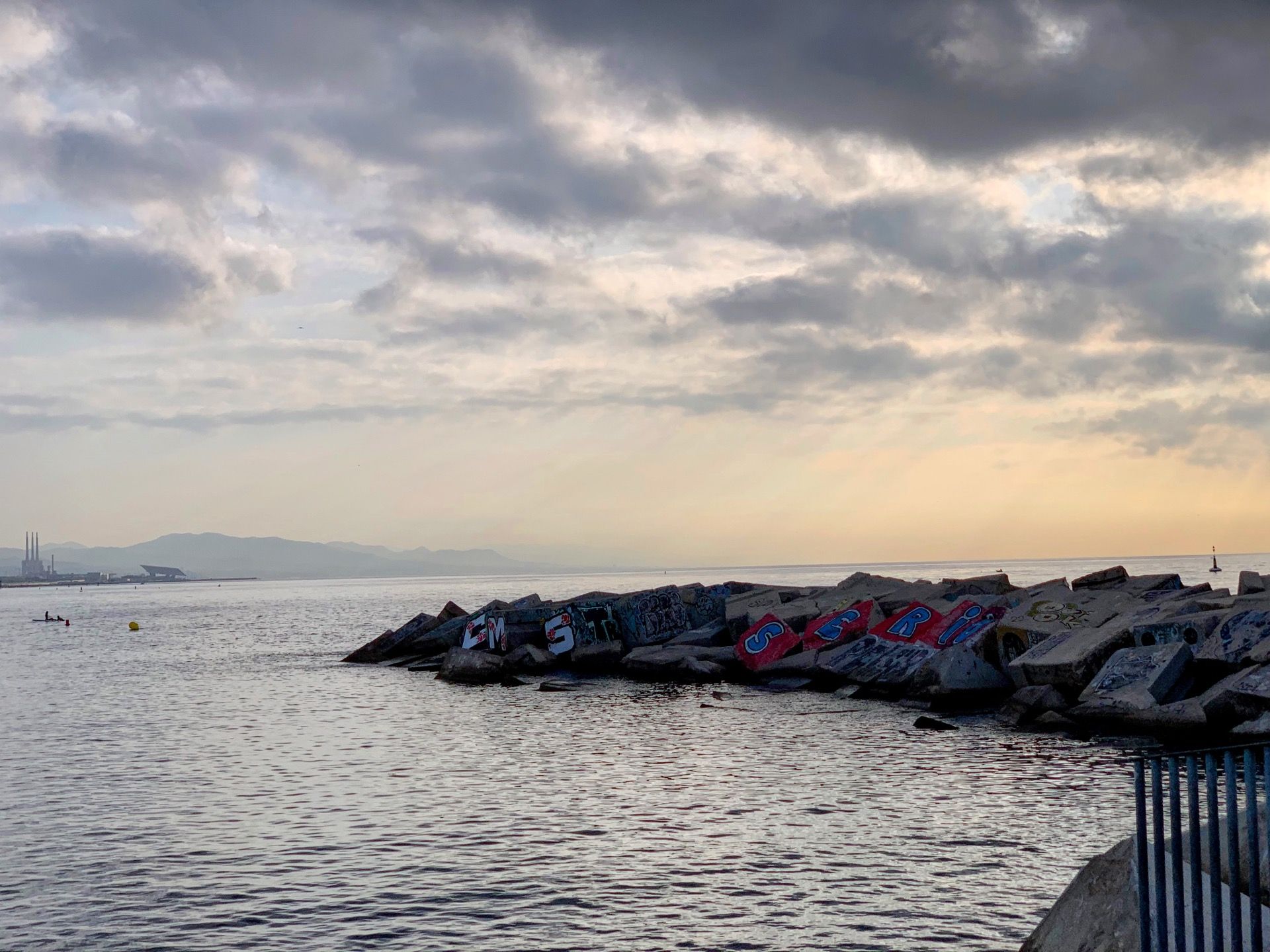 Immagine in evidenza