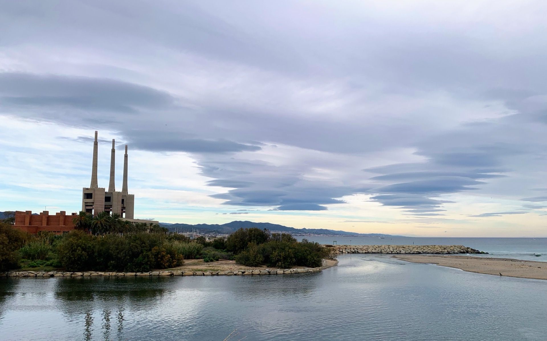 Immagine in evidenza