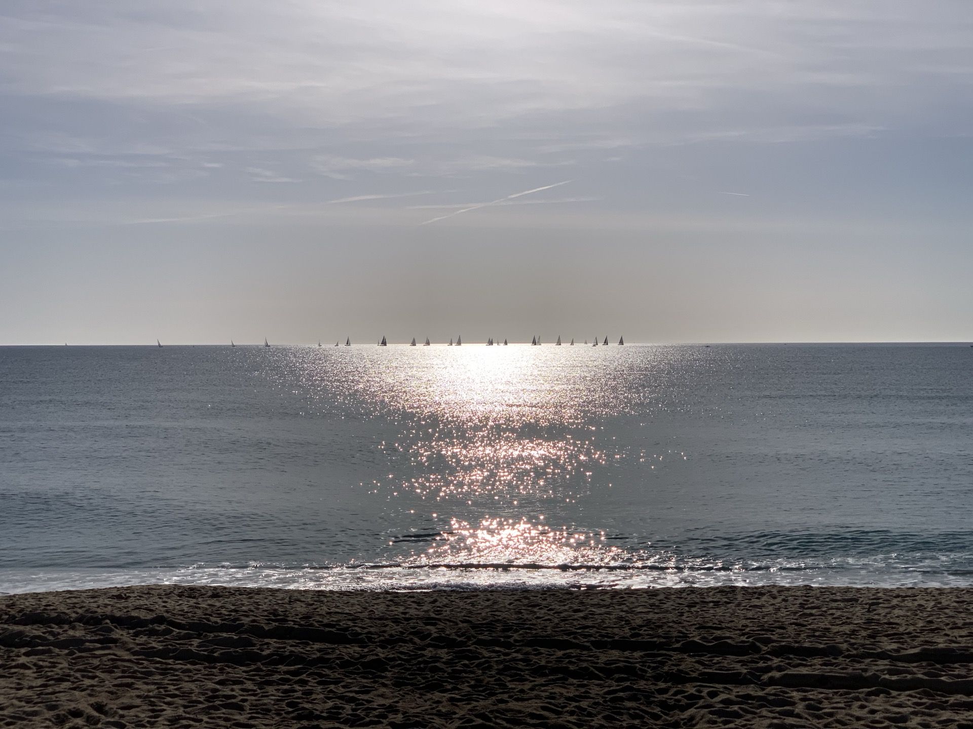 Immagine in evidenza